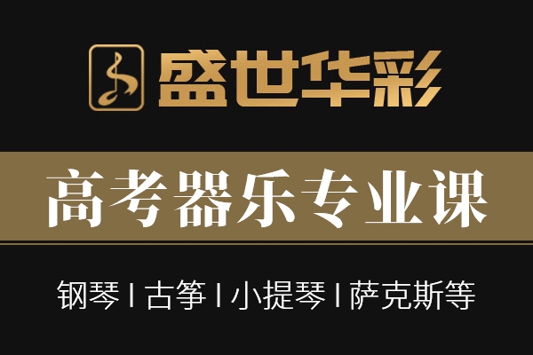 高考器乐专业课
