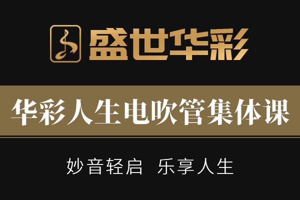 华彩人生电吹管集体课